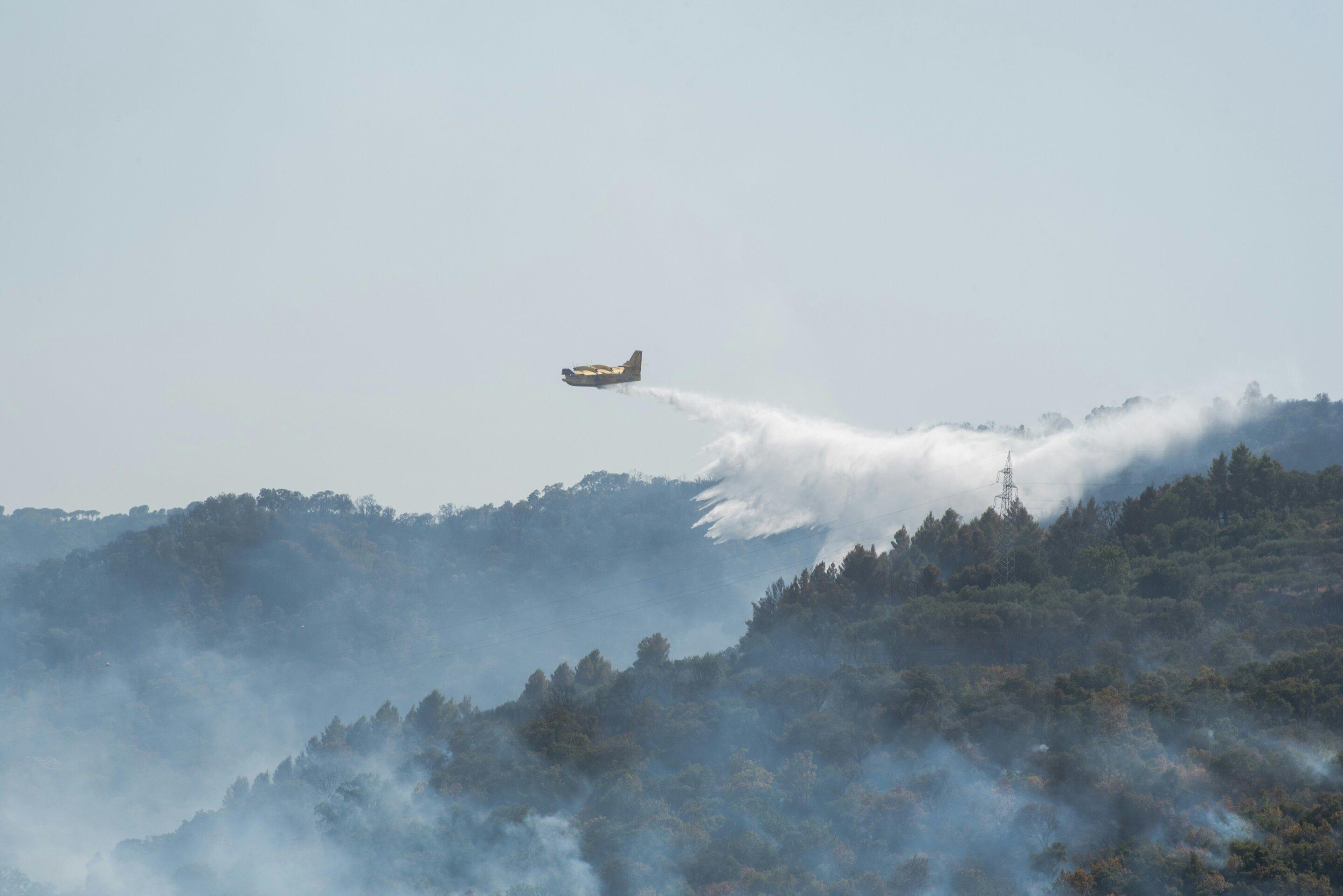 Wildfire Burn Severity & Recovery