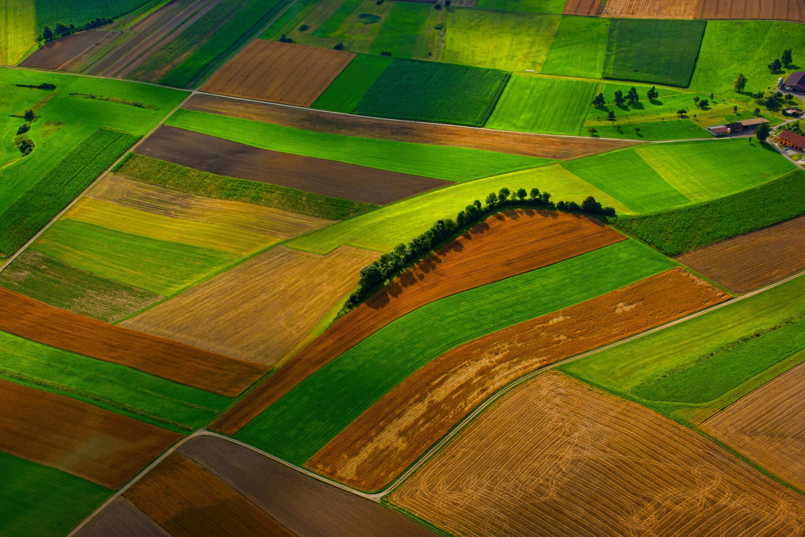 Soil Organic Carbon Proxy