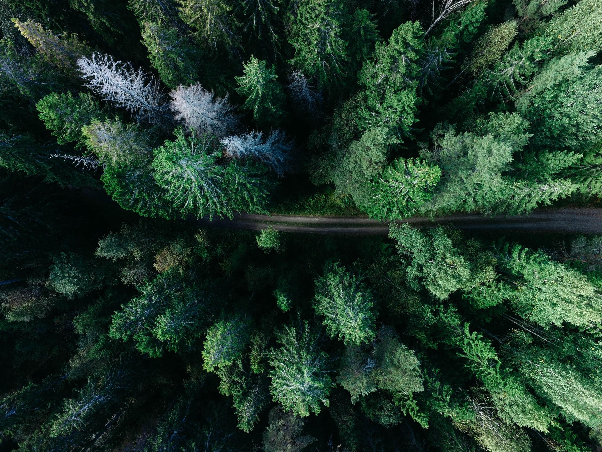 Selective Logging Audit