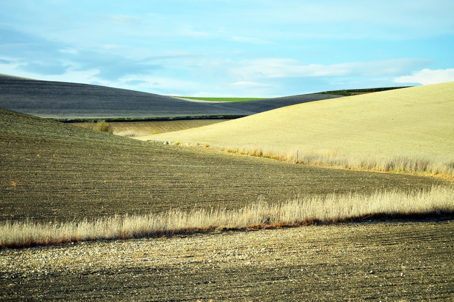 Soil Exposure & Crop Residue